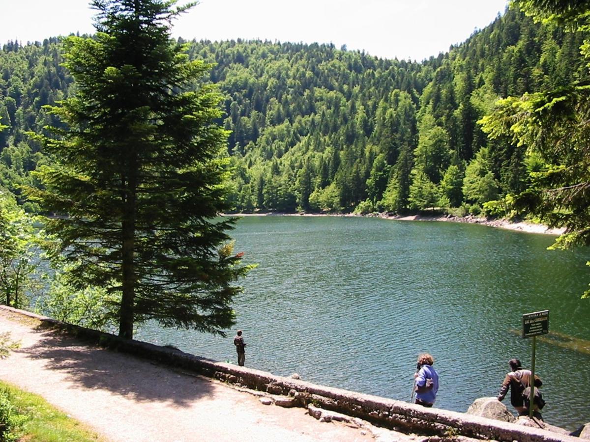 Chalet Hohneck 4 Etoiles, Vieux Bois Et Pierre, Spa, Sauna, Borne De Recharge Stosswihr エクステリア 写真