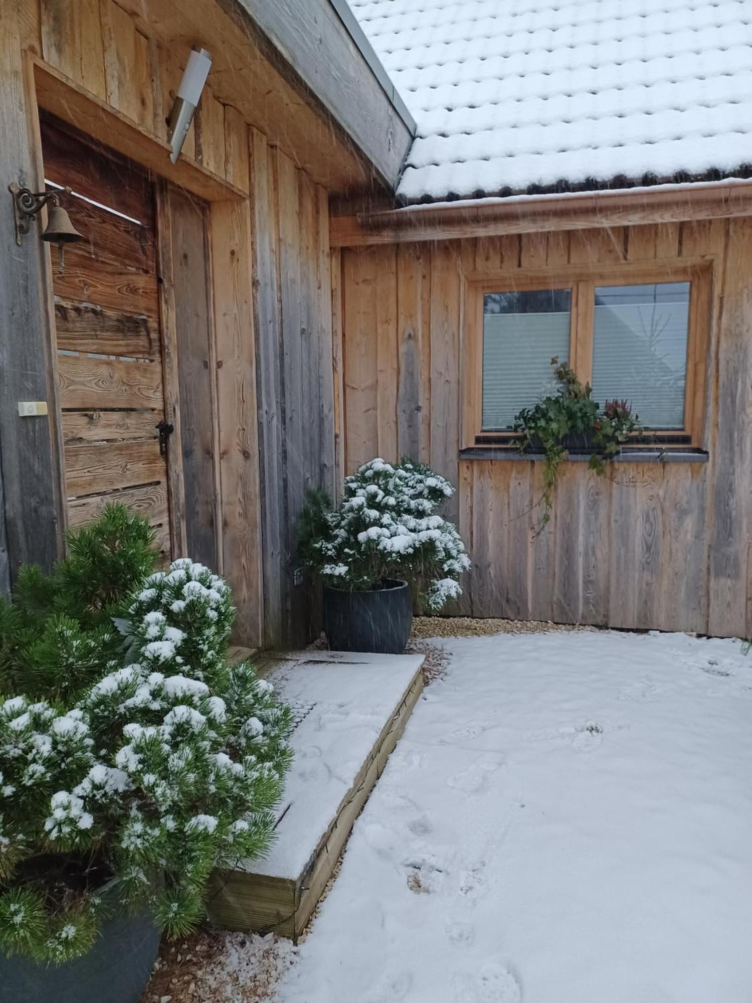 Chalet Hohneck 4 Etoiles, Vieux Bois Et Pierre, Spa, Sauna, Borne De Recharge Stosswihr エクステリア 写真